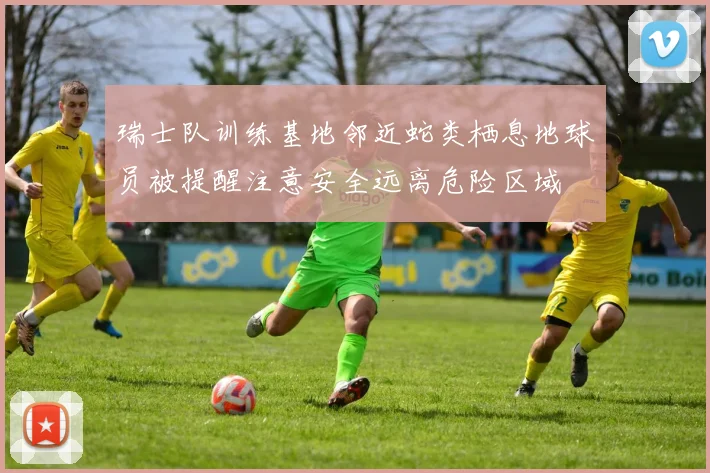 瑞士队训练基地邻近蛇类栖息地球员被提醒注意安全远离危险区域