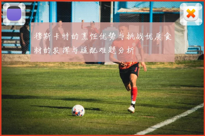 穆斯卡特的烹饪优势与挑战优质食材的发挥与适配难题分析